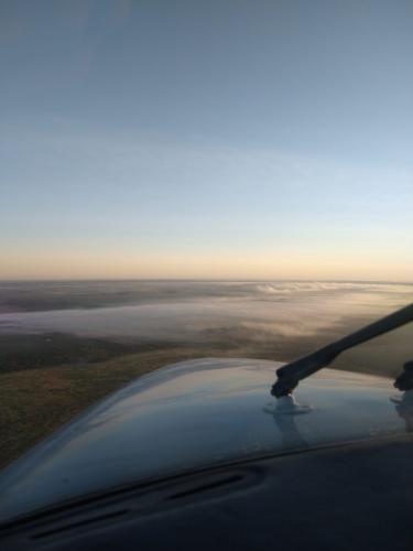 CENTRAL DE TRANSPLANTES 5